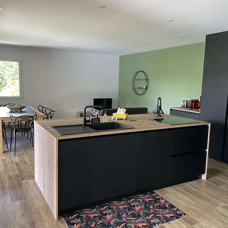 Villa Moderne Avec Piscine Privee Et Grand Terrain En Centre-ville - Fr-1-382-208